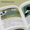 famille-foulane-tome-2-le-camping-presque-sauvage (2)