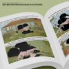 famille-foulane-tome-4-des-recreations-pleines-d-histoires (1)
