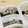 famille-foulane-tome-7-le-voleur (2)